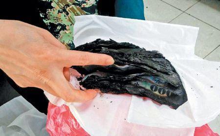 被焚毁的10万元纸钞，乍看像是一颗烤焦的地瓜。来源：台湾《联合报》