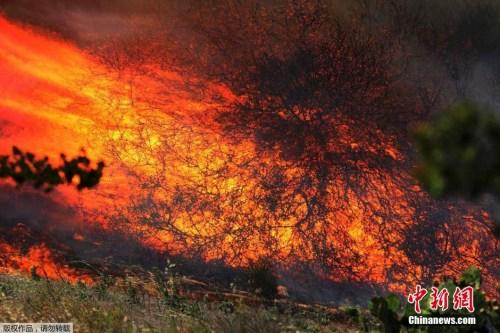 美国加州山火快速蔓延 超2万户居民撤离(图)