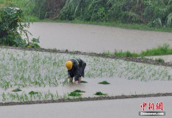 16省份遭暴雨洪涝灾害 造成23人遇难6人失踪