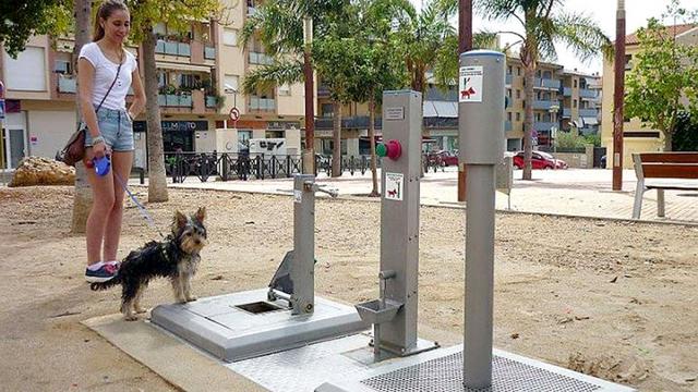 西班牙为治理狗粪问题推出狗狗专用厕所(图)