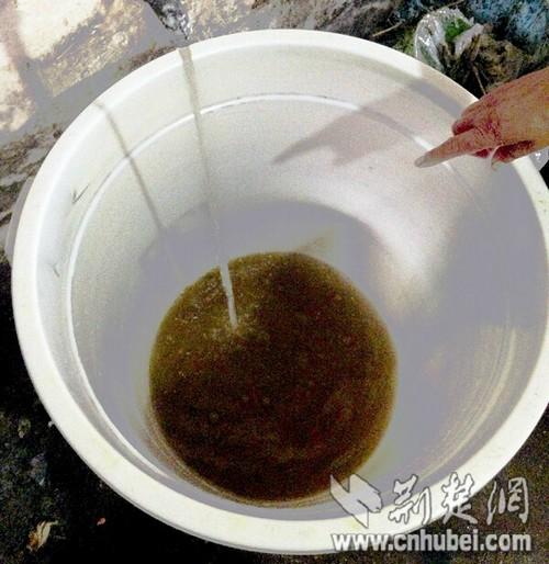 武汉一村水厂设备落后 千余居民喝3年黄水(图)
