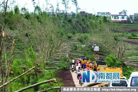 超强台风威马逊“卷走”广东131亿 254万人受灾
