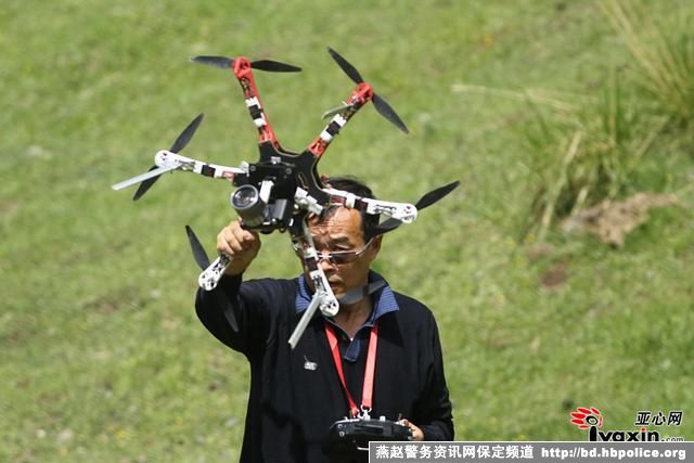 新疆首次使用无人机监测高山兀鹫 其生存困窘